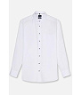 OLYMP MODERN FIT ING 1354/24/00_M LUXOR
