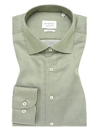 ETERNA SLIM FIT ING 4203/49 F170